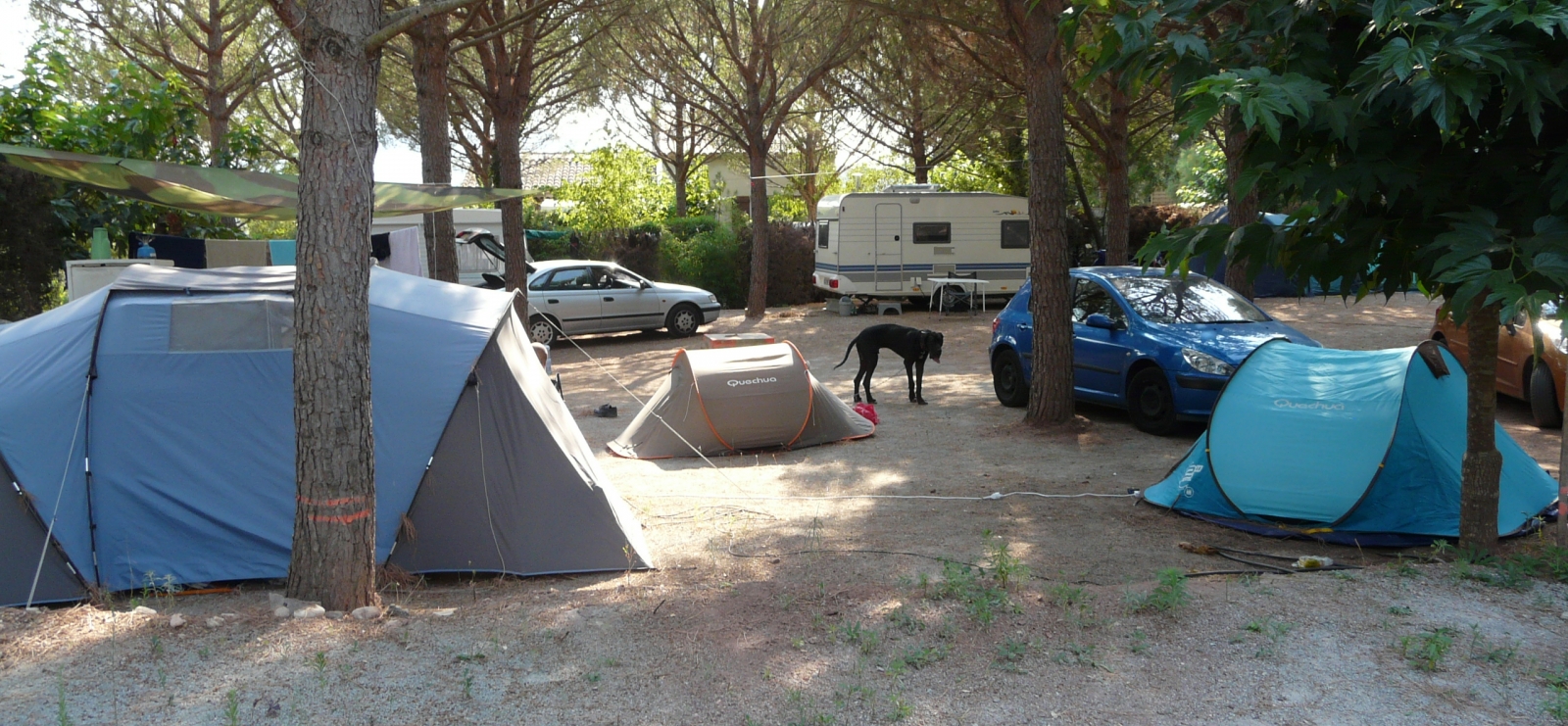 Camping à la ferme Michel
