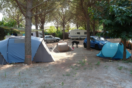 Camping à la ferme Michel