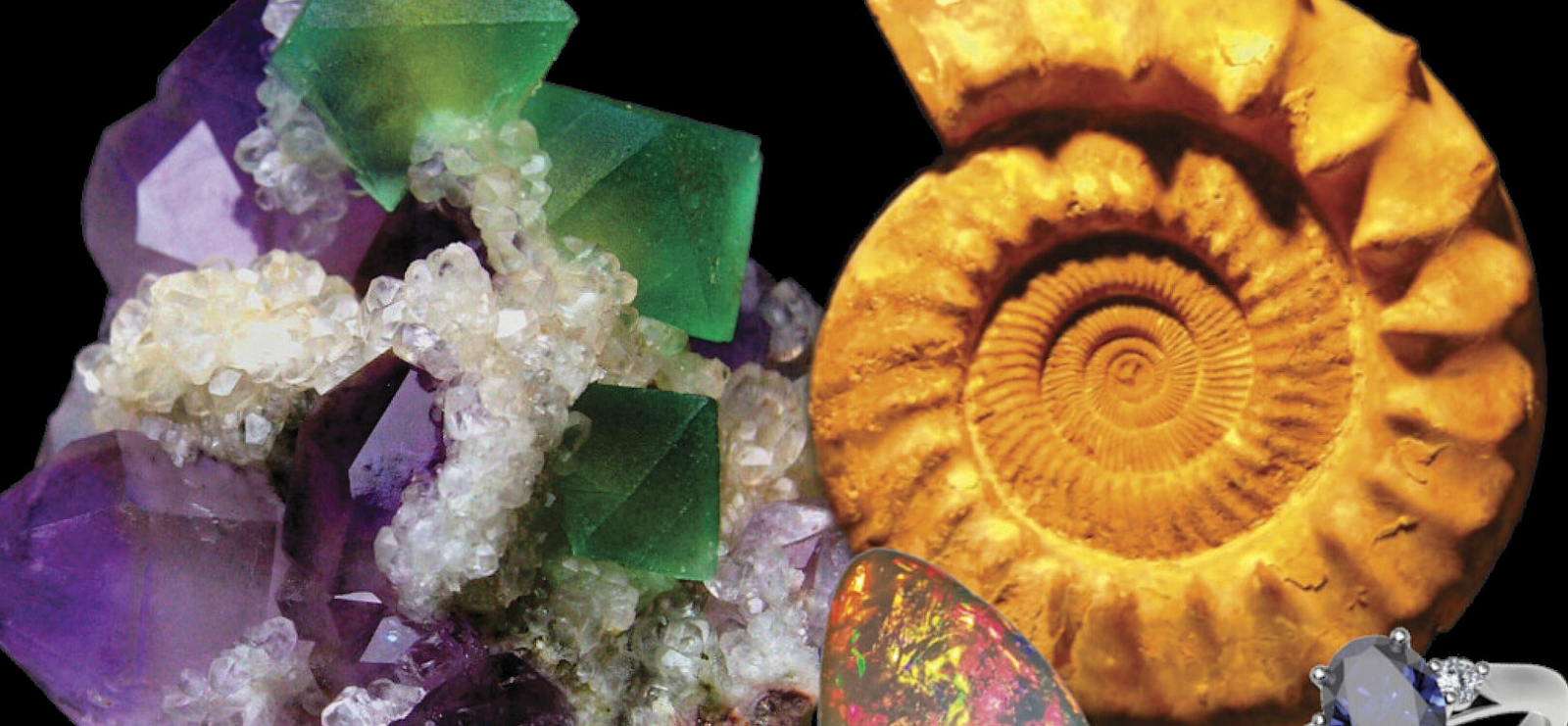 Salon des Minéraux, Fossiles et Bijoux