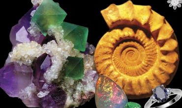 Salon des Minéraux, Fossiles et Bijoux