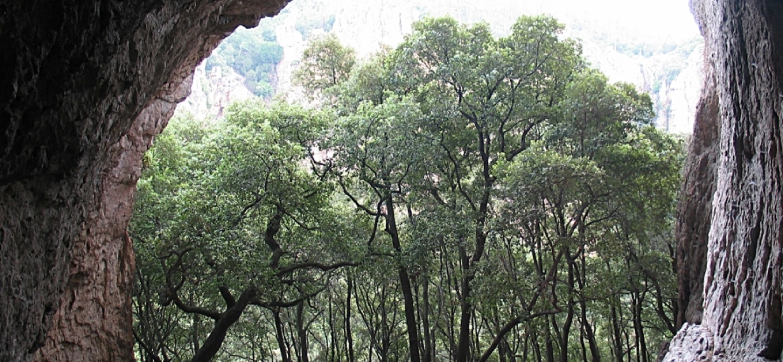 Grotte du Muéron