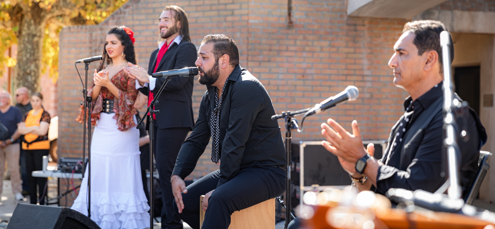 Flamenco