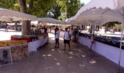 Disc Fair