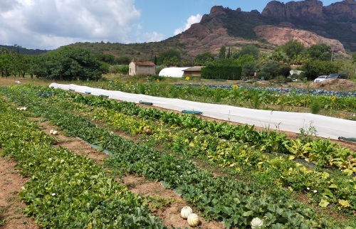 Vue générale de la ferme