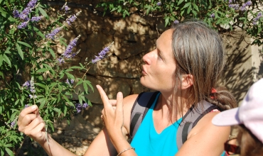 Balade naturaliste Fondurane