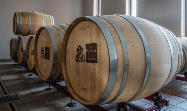 Au cœur de la nature provençale