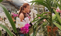 Leçon de botanique_Roquebrune-sur-Argens