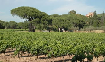 Château de Vaucouleurs
