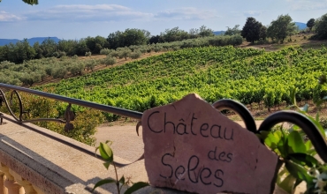vignoble