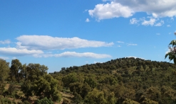 Sentier de l'Agriotier