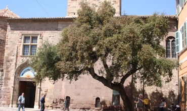 Visite guidée 'Fréjus, 2000 ans d'histoire'