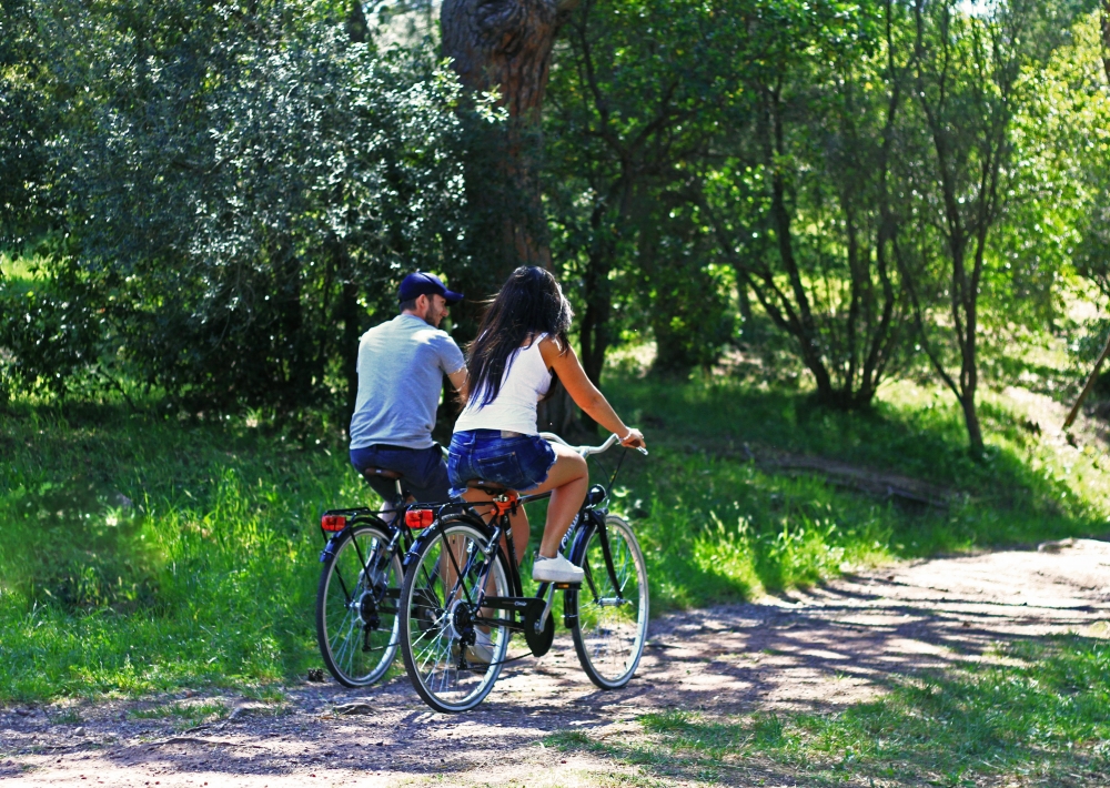 Parc Pour Chiens - Retours Gratuits Dans Les 90 Jours - Temu France