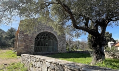 Randonnée découverte de la flore méditerranénne avec guide SAB Esterel
