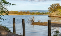 Etangs de Villepey - Fréjus - St Aygulf