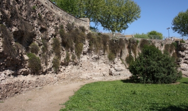 Visite guidée 'Forum Iulli, colonie romaine, la Pompéi provençale'