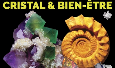 Salon des Minéraux, Fossiles et Bijoux