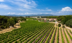 Les secrets des vins de Provence