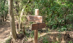 Randonnée : Sentier du mimosa - Vallon de la Gaillarde