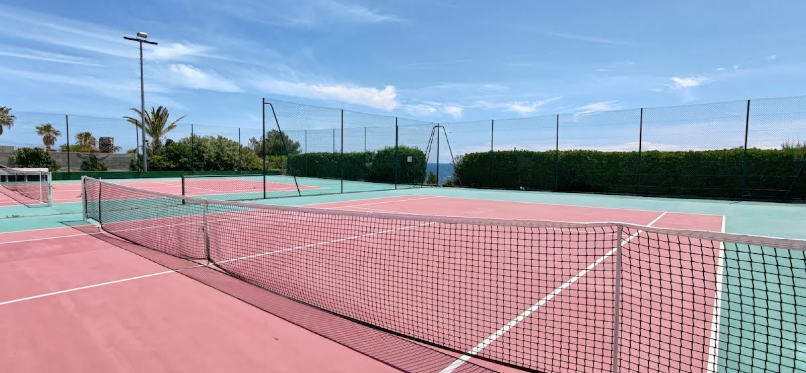 Court