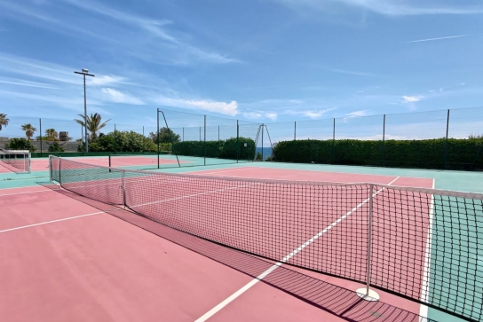 Court