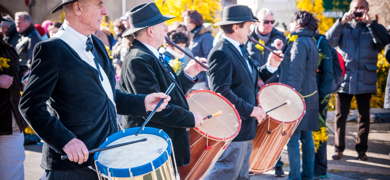 Fête du mimosa de Tanneron