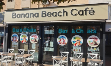 Le Miaou Miaou - Bar à Chats - Bananabeachcafe