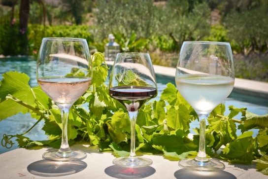 Demi_journee__terroir_secrets_vins_provence