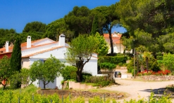 Domaine