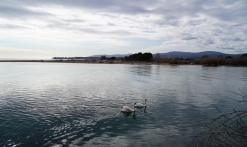 Etang de Villepey