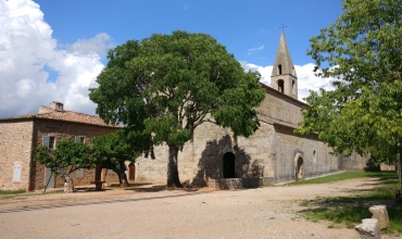 Abbaye du Thoronet, Joyaux de l'architecture cistercienne