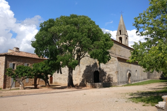 Abbaye du Thoronet, Joyaux de l'architecture cistercienne