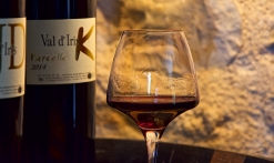 Domaine viticole Val d'Iris