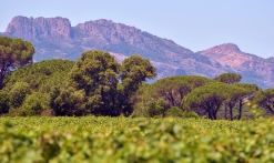 Au cœur de la nature provençale