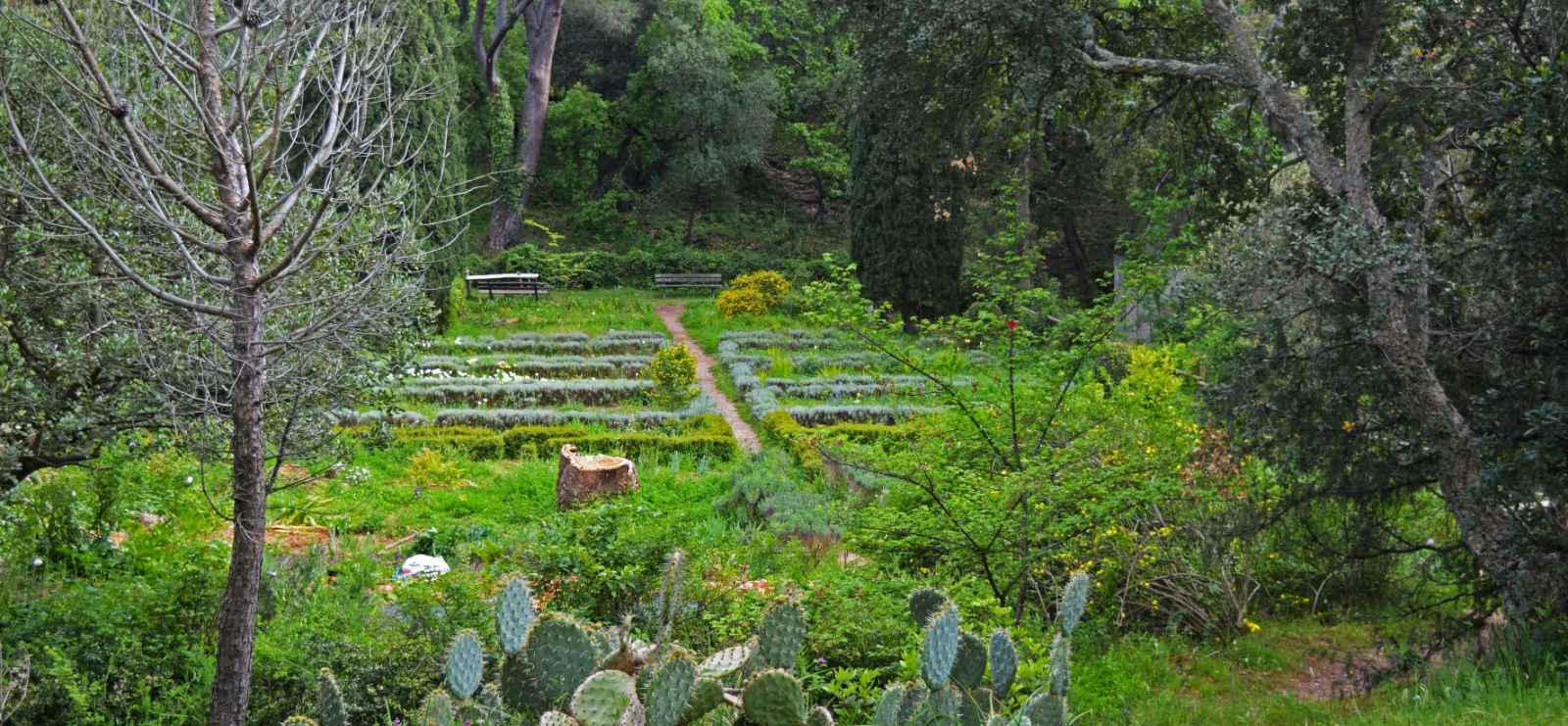 Promenade nature au Parc Aurélien