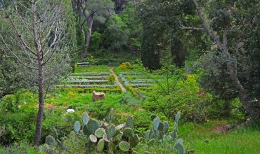 Promenade nature au Parc Aurélien