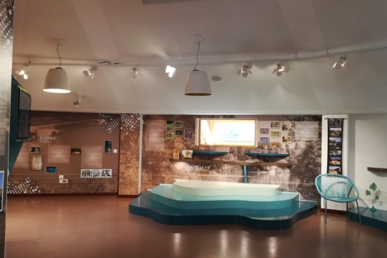 Espace scénographique