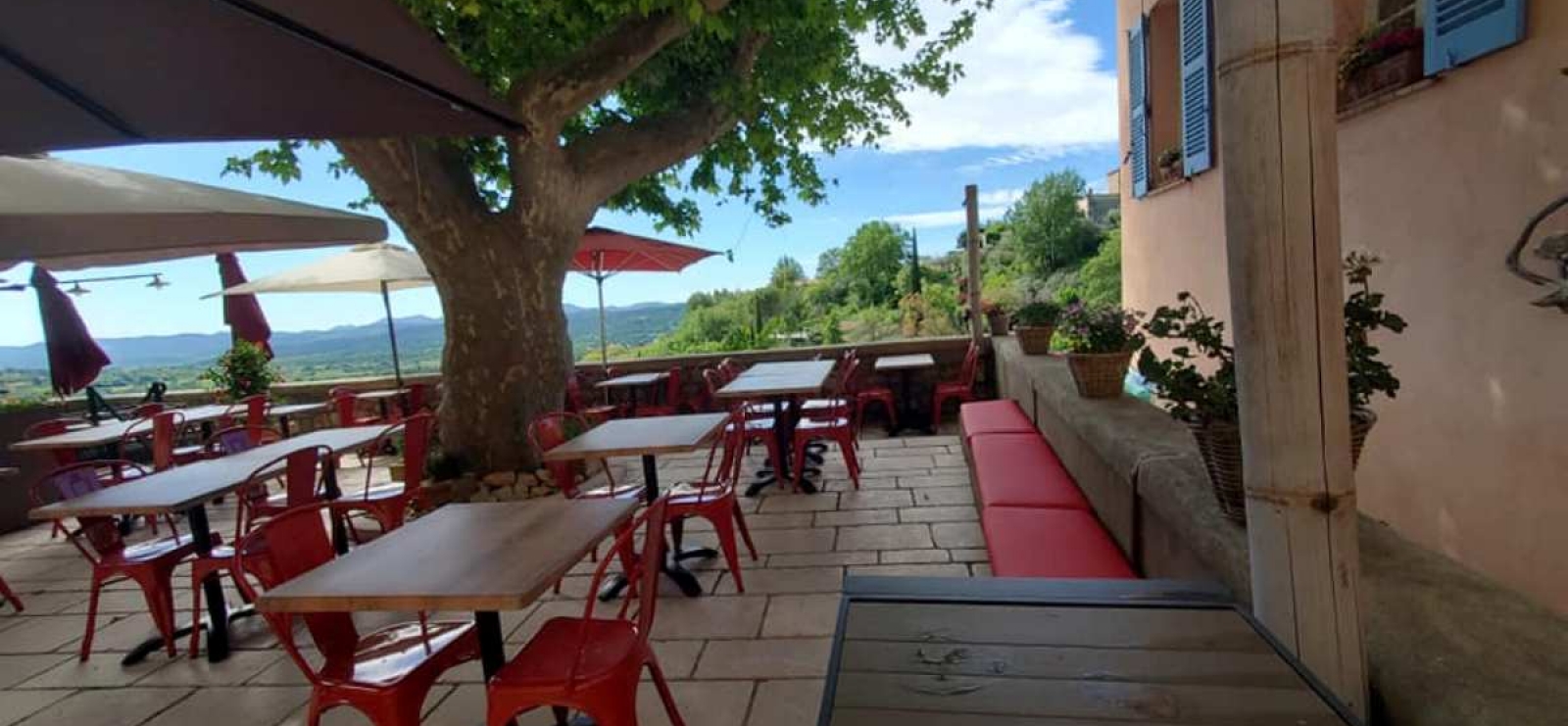 La terrasse ombragée