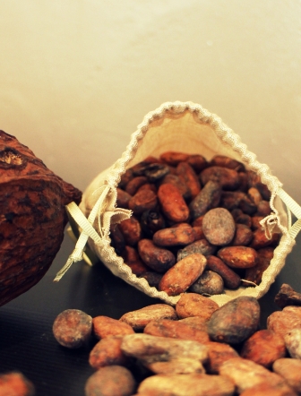 fève de cacao