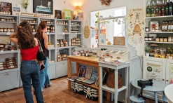 Les trésors de la ruche