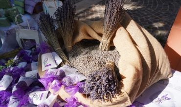 Marché provençal de Fréjus